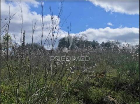 Terreno de 5240 m2, que contém também uma parte urbana com 80 m2,