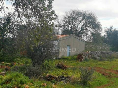 Terreno de 5240 m2, que contém também uma parte urbana com 80 m2,