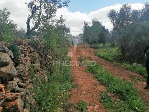 Terreno de 5240 m2, que contém também uma parte urbana com 80 m2,