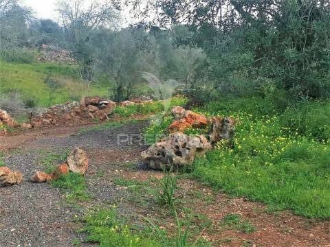 Terreno de 5240 m2, que contém também uma parte urbana com 80 m2,