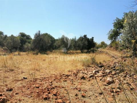 Terreno de 5240 m2, que contém também uma parte urbana com 80 m2,
