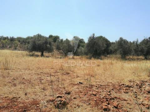 Terreno de 5240 m2, que contém também uma parte urbana com 80 m2,