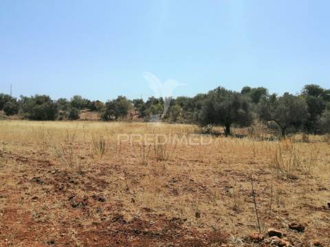 Terreno de 5240 m2, que contém também uma parte urbana com 80 m2,