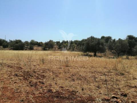 Terreno de 5240 m2, que contém também uma parte urbana com 80 m2,