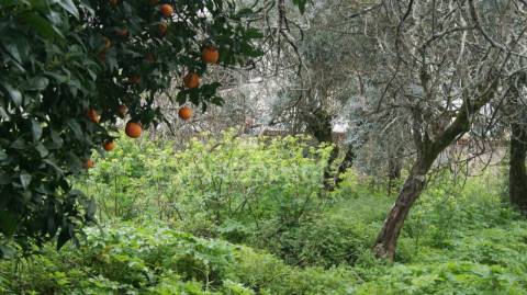 Moradia 2 pisos com quintal carreiras/portalegre