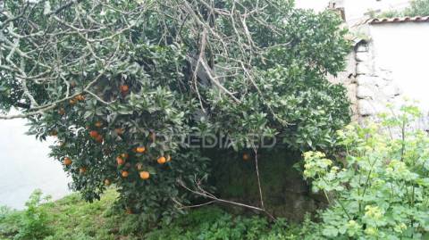 Moradia 2 pisos com quintal carreiras/portalegre