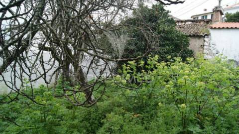 Moradia 2 pisos com quintal carreiras/portalegre