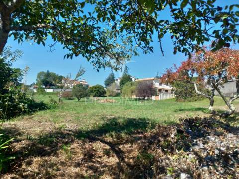 Terreno com vistas douro (encosta do douro)