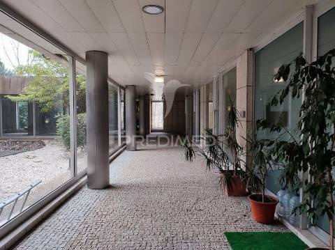 Arrenda-se loja para serviços/clínica médica/dentária - campo alegre