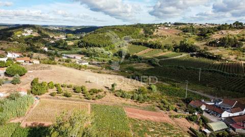 Terreno com viabilidade de construção a 7km de caldas da rainha