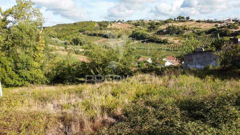 Terreno com viabilidade de construção a 7km de caldas da rainha