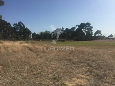 Terreno com 22000 m2 - samora correia