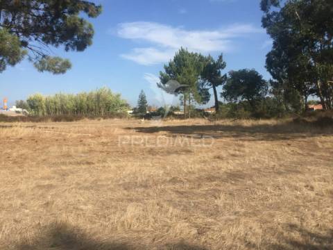 Terreno com 22000 m2 - samora correia