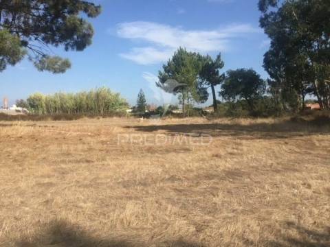 Terreno com 22000 m2 - samora correia