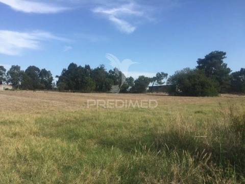 Terreno com 22000 m2 - samora correia