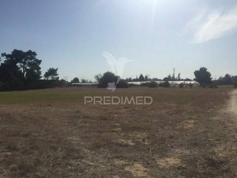 Terreno com 22000 m2 - samora correia