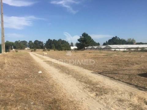 Terreno com 22000 m2 - samora correia