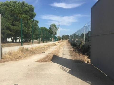 Terreno com 22000 m2 - samora correia