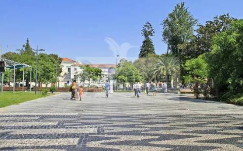 Escritório avenida luisa tody