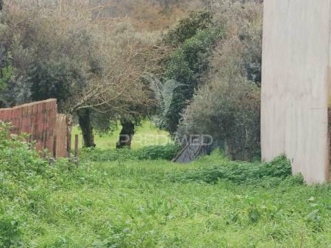 Lote de terreno, arneiro das milhariças