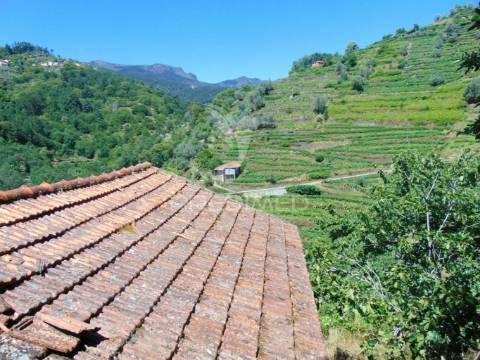 Propriedade c/ 1,5 ha em santa marta de penaguião