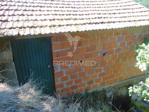 Propriedade c/ 1,5 ha em santa marta de penaguião