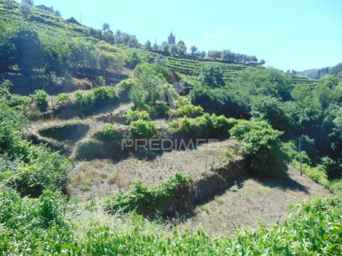 Propriedade c/ 1,5 ha em santa marta de penaguião