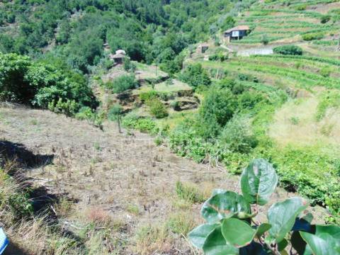 Propriedade c/ 1,5 ha em santa marta de penaguião