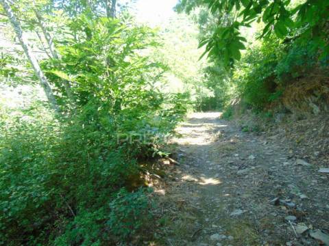 Propriedade c/ 1,5 ha em santa marta de penaguião