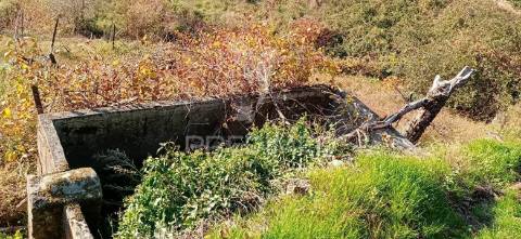 Propriedade c/ 1,5 ha em santa marta de penaguião