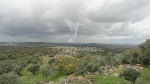 Casa em ruínas alter pedroso- alter chão