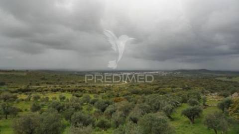 Casa em ruínas alter pedroso- alter chão