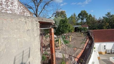 Prédio urbano em cabeço de vide