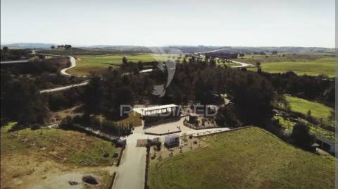 Quinta da torre à venda em torre do bispo - santarém