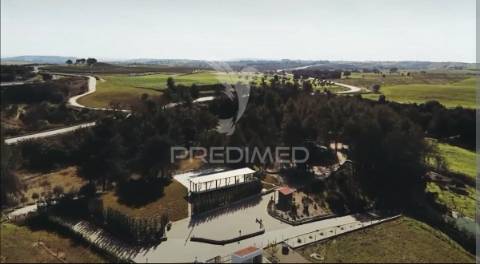 Quinta da torre à venda em torre do bispo - santarém