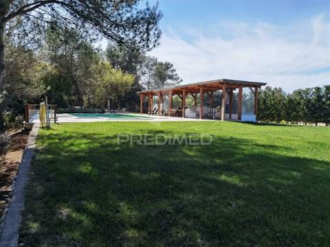 Quinta da torre à venda em torre do bispo - santarém