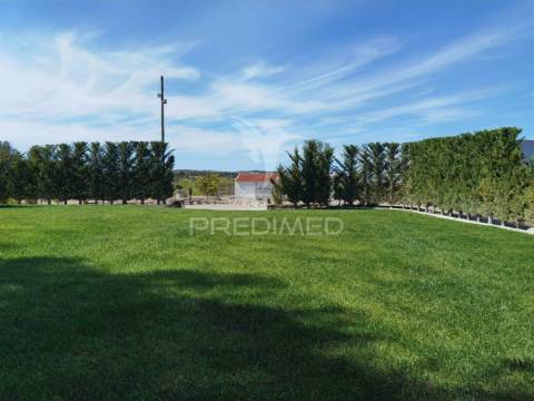 Quinta da torre à venda em torre do bispo - santarém