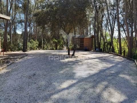 Quinta da torre à venda em torre do bispo - santarém