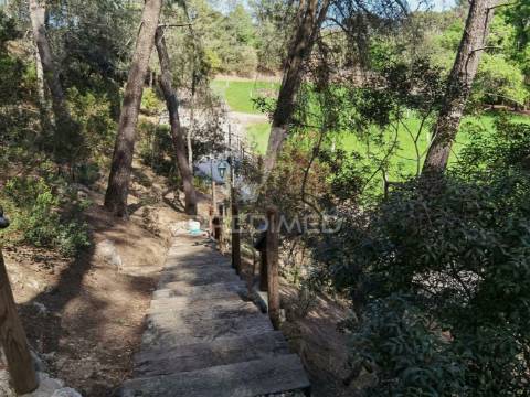 Quinta da torre à venda em torre do bispo - santarém
