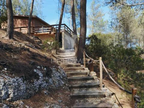 Quinta da torre à venda em torre do bispo - santarém