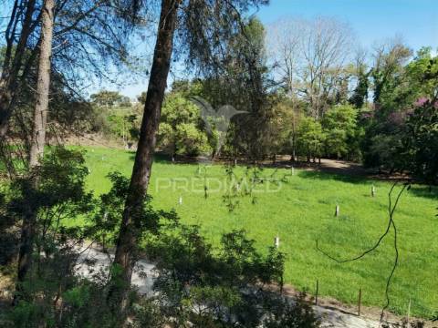 Quinta da torre à venda em torre do bispo - santarém