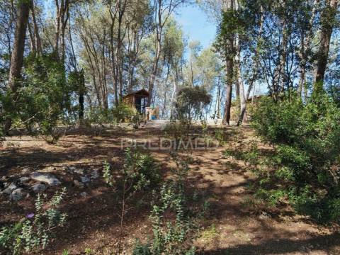 Quinta da torre à venda em torre do bispo - santarém
