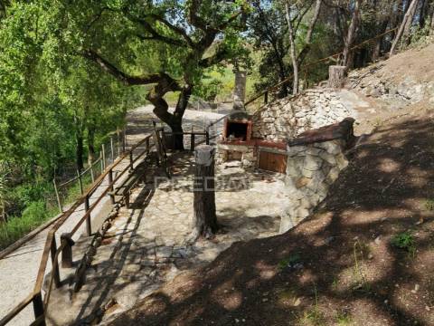 Quinta da torre à venda em torre do bispo - santarém