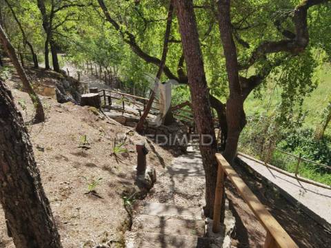 Quinta da torre à venda em torre do bispo - santarém