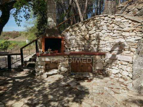 Quinta da torre à venda em torre do bispo - santarém