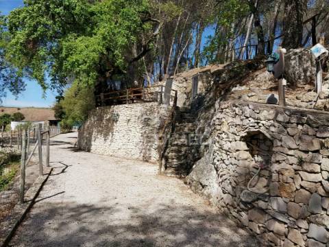 Quinta da torre à venda em torre do bispo - santarém