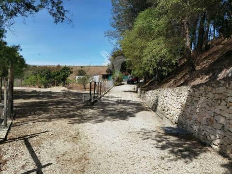 Quinta da torre à venda em torre do bispo - santarém