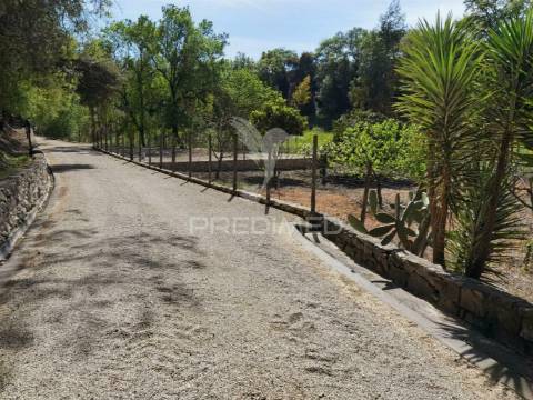 Quinta da torre à venda em torre do bispo - santarém