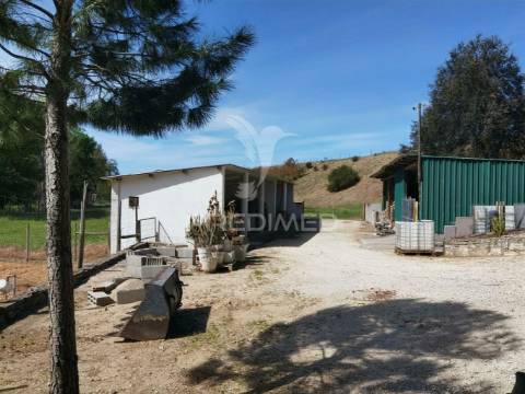 Quinta da torre à venda em torre do bispo - santarém