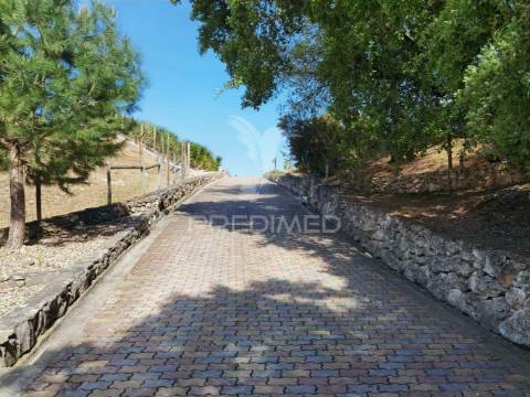 Quinta da torre à venda em torre do bispo - santarém